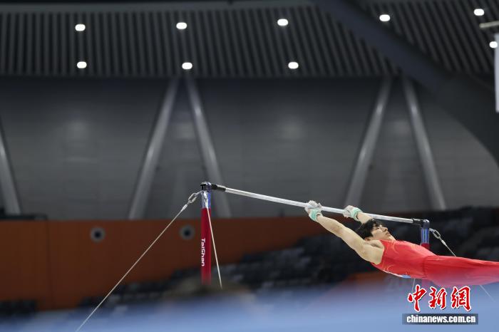 张博恒十五运会单杠夺冠背后的责任与坚持