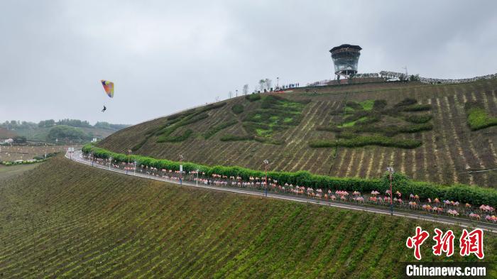 第六届“翱翔贵州”滑翔伞首站在桐梓圆满落幕